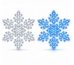 LED Snowflake Wall Set