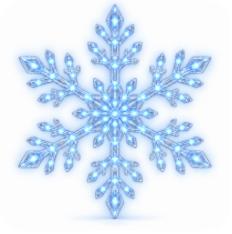 LED Snowflake Wall Set
