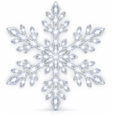 LED Snowflake Wall Set